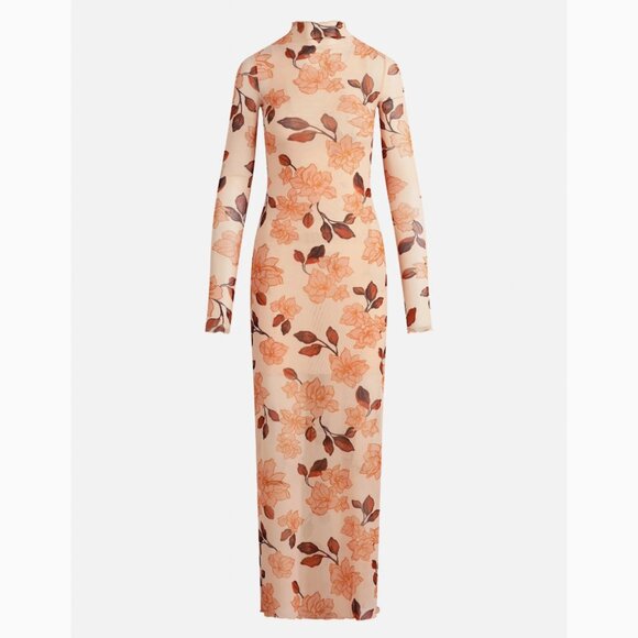 NWT Favorite Daughter The Sheer Fantasy Long Sleeve Mesh Maxi Dress Bare Roses - Picture 8 of 9